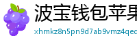波宝钱包苹果版
